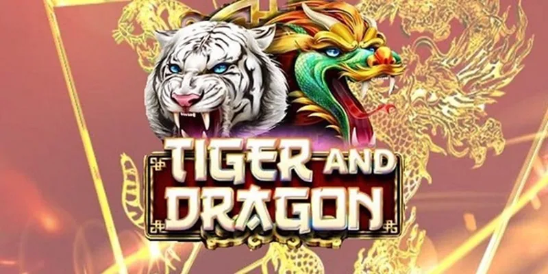 Live Dragon Tiger at PHTAYA – The Next Level of Immersion