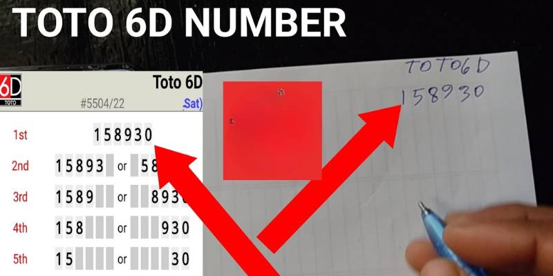 The Origins and Evolution of 6D Totto