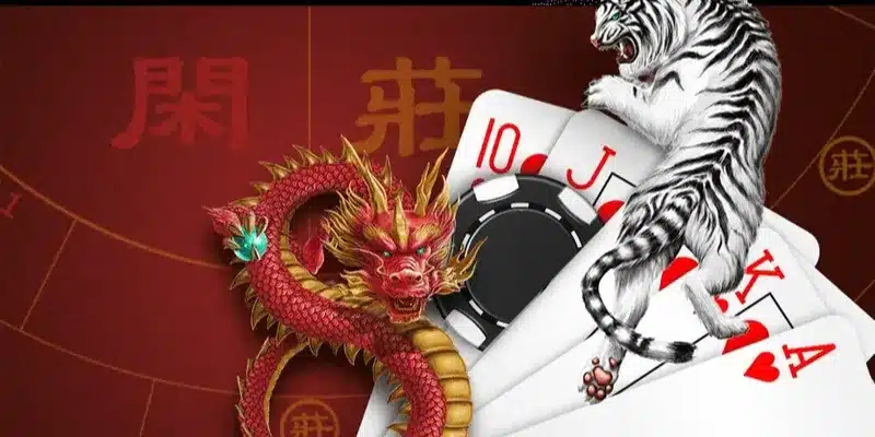 Why Choose Dragon Tiger at PHTAYA?